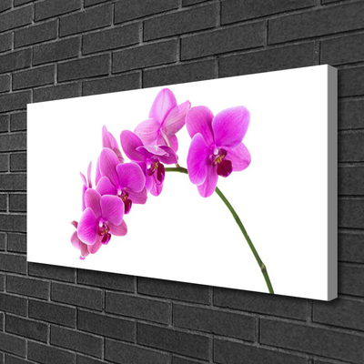 Cuadro en lienzo canvas Orquídea flor orquídea