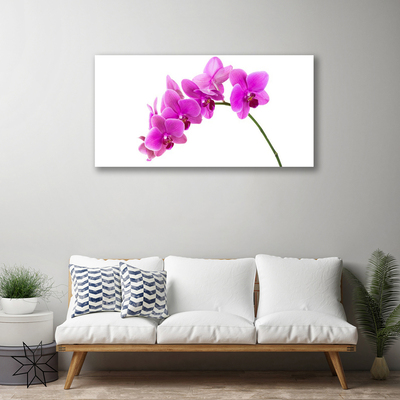 Cuadro en lienzo canvas Orquídea flor orquídea