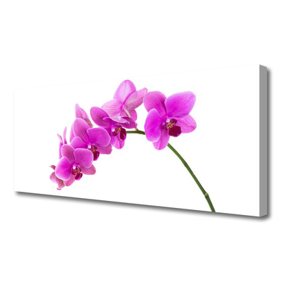 Cuadro en lienzo canvas Orquídea flor orquídea