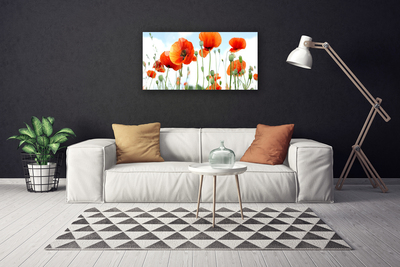 Cuadro en lienzo canvas Flores amapolas campo naturaleza