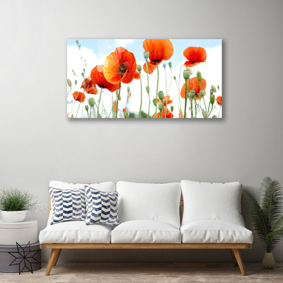 Cuadro en lienzo canvas Flores amapolas campo naturaleza