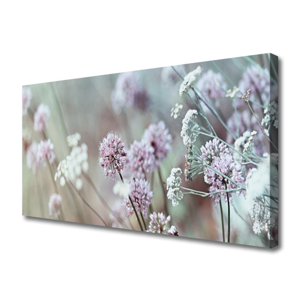 Cuadro en lienzo canvas Flores silvestres prado naturaleza