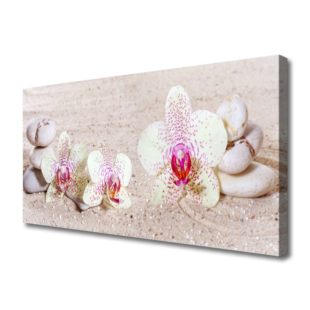 Cuadro en lienzo canvas Orquídea arena