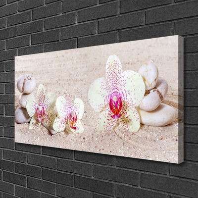 Cuadro en lienzo canvas Orquídea arena