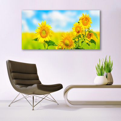 Cuadro en lienzo canvas Girasol flores naturaleza