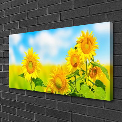 Cuadro en lienzo canvas Girasol flores naturaleza