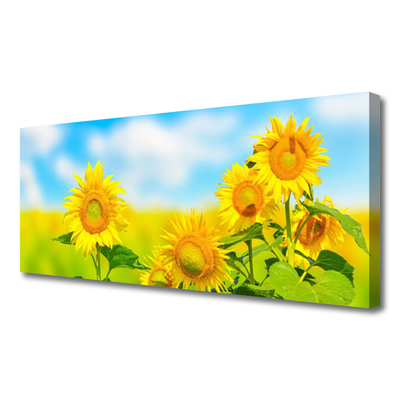 Cuadro en lienzo canvas Girasol flores naturaleza