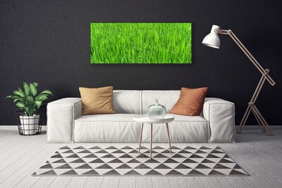 Cuadro en lienzo canvas Hierba verde naturaleza césped