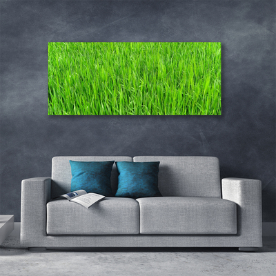 Cuadro en lienzo canvas Hierba verde naturaleza césped