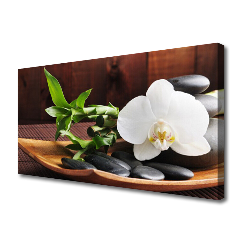 Cuadro en lienzo canvas Bambú zen orquídea blanca