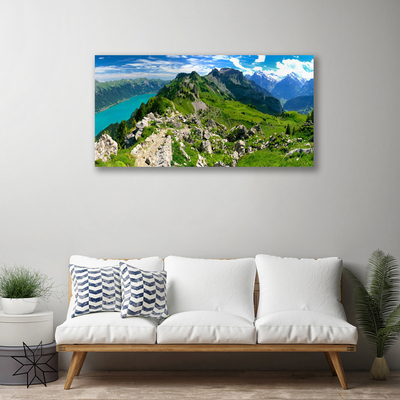 Cuadro en lienzo canvas Prado monte paisaje naturaleza