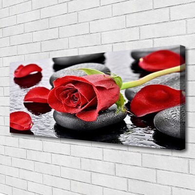 Cuadro en lienzo canvas Rosa roja flor