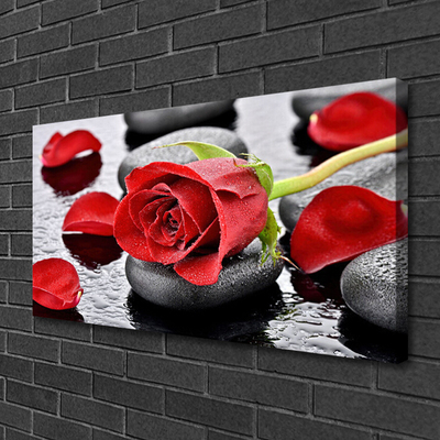 Cuadro en lienzo canvas Rosa roja flor