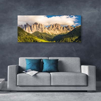 Cuadro en lienzo canvas Cumbres del monte nubes bosques prado