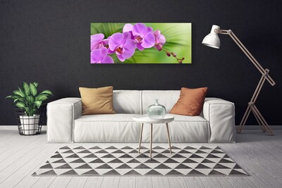Cuadro en lienzo canvas Orquídea flores