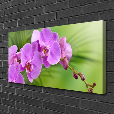 Cuadro en lienzo canvas Orquídea flores