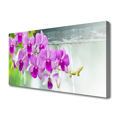 Cuadro en lienzo canvas Orquídeas gotas naturaleza