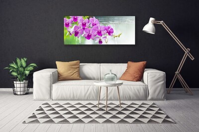 Cuadro en lienzo canvas Orquídeas gotas naturaleza