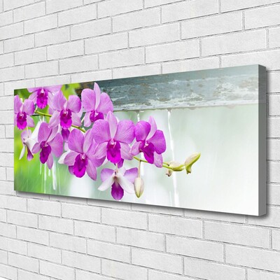 Cuadro en lienzo canvas Orquídeas gotas naturaleza