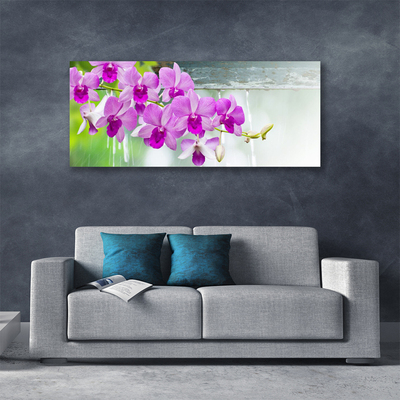 Cuadro en lienzo canvas Orquídeas gotas naturaleza