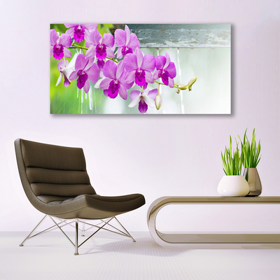 Cuadro en lienzo canvas Orquídeas gotas naturaleza