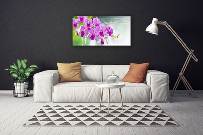 Cuadro en lienzo canvas Orquídeas gotas naturaleza