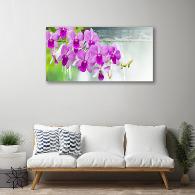 Cuadro en lienzo canvas Orquídeas gotas naturaleza