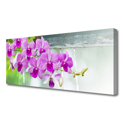 Cuadro en lienzo canvas Orquídeas gotas naturaleza