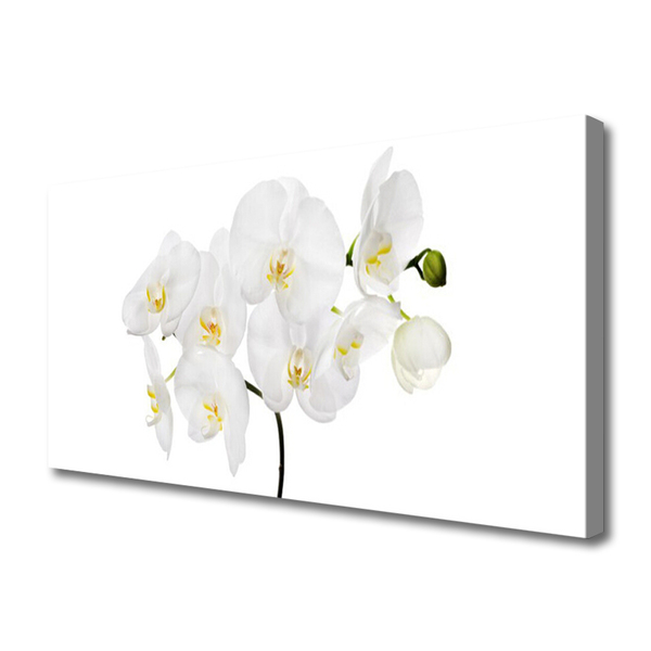 Cuadro en lienzo canvas Orquidea blanca flores