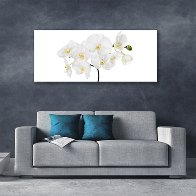 Cuadro en lienzo canvas Orquidea blanca flores