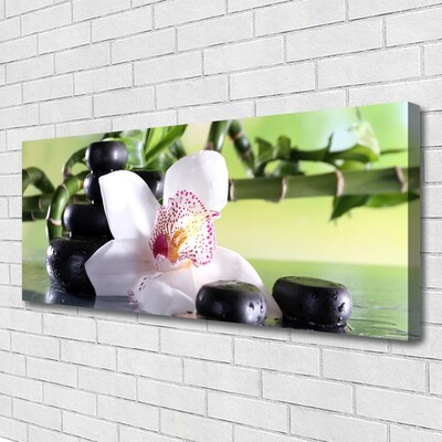 Cuadro en lienzo canvas Orquídea piedras bambú