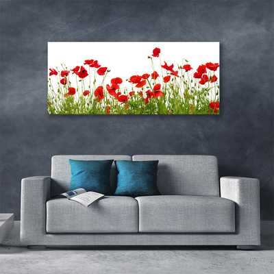 Cuadro en lienzo canvas Prado amapolas flores naturaleza