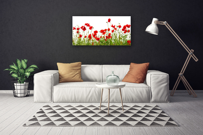 Cuadro en lienzo canvas Prado amapolas flores naturaleza