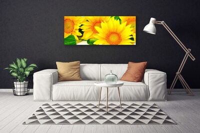 Cuadro en lienzo canvas Girasol flor naturaleza