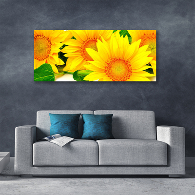 Cuadro en lienzo canvas Girasol flor naturaleza