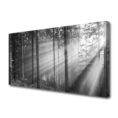 Cuadro en lienzo canvas Bosque naturaleza rayos sol