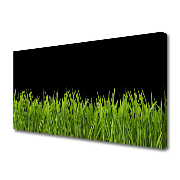 Cuadro en lienzo canvas Hierba verde naturaleza