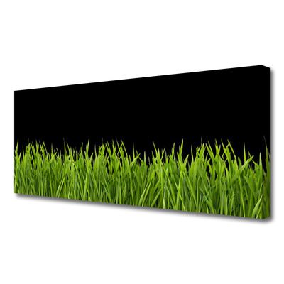 Cuadro en lienzo canvas Hierba verde naturaleza