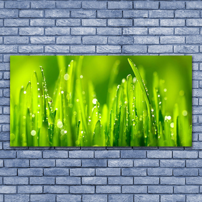 Cuadro en lienzo canvas Hierba verde gotas de rocío