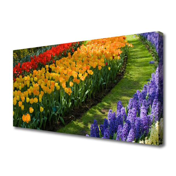 Cuadro en lienzo canvas Flores jardín tulipanes