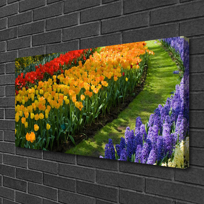 Cuadro en lienzo canvas Flores jardín tulipanes