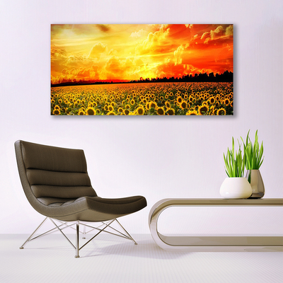 Cuadro en lienzo canvas Prado girasoles flores