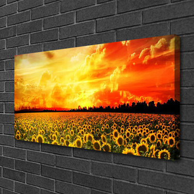 Cuadro en lienzo canvas Prado girasoles flores