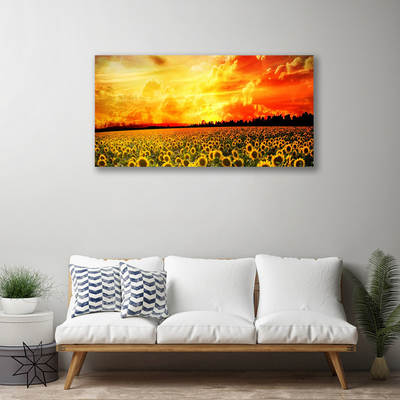 Cuadro en lienzo canvas Prado girasoles flores