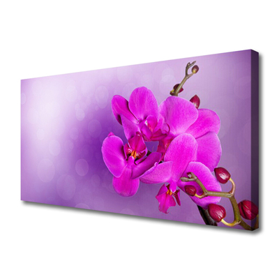 Cuadro en lienzo canvas Flores pétalos orquídea