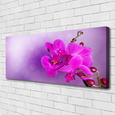 Cuadro en lienzo canvas Flores pétalos orquídea