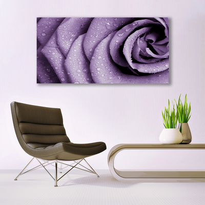 Cuadro en lienzo canvas Rosa flor planta