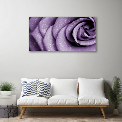 Cuadro en lienzo canvas Rosa flor planta