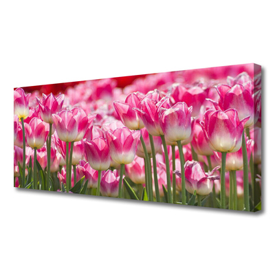 Cuadro en lienzo canvas Tulipanes flores naturaleza