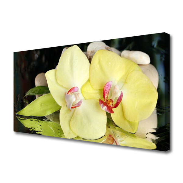 Cuadro en lienzo canvas Pétalos de flor orquídea